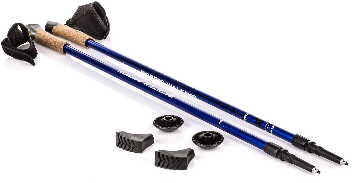 Палки для скандинавской ходьбы NILS Extreme NW 607 Blue