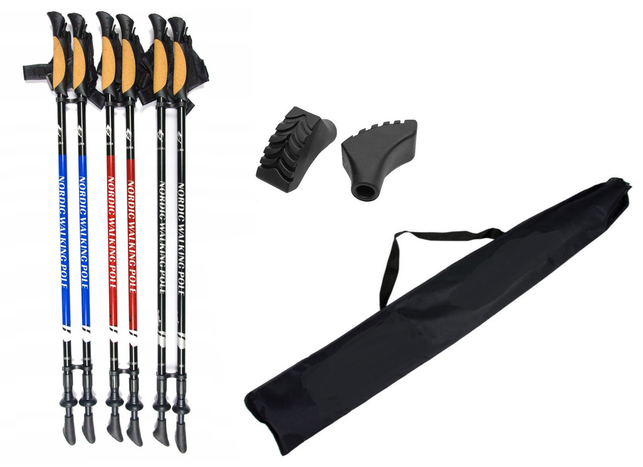 Комплект Палки для скандинавской ходьбы Nord Sticks двухсекционные + чехол + наконечники