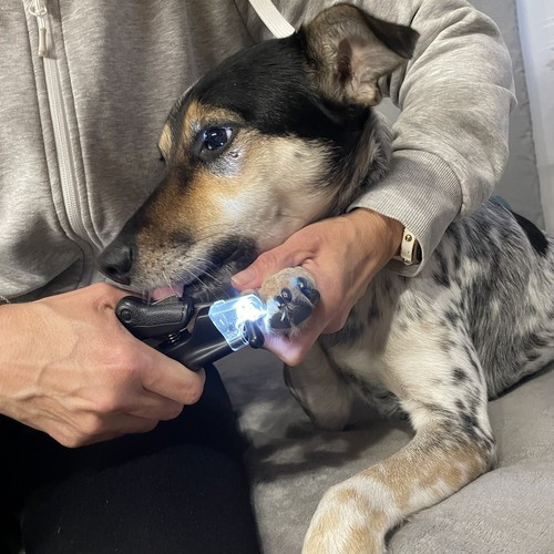 Зображення товару